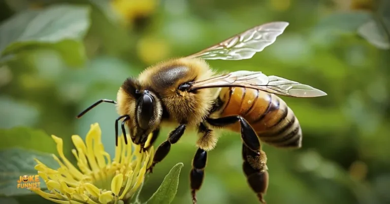 Best Bee Puns