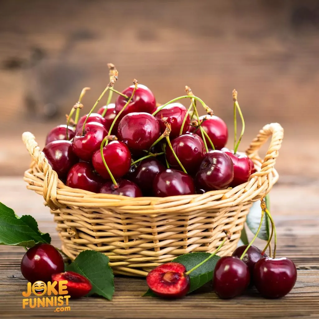 Cherry To Your Life