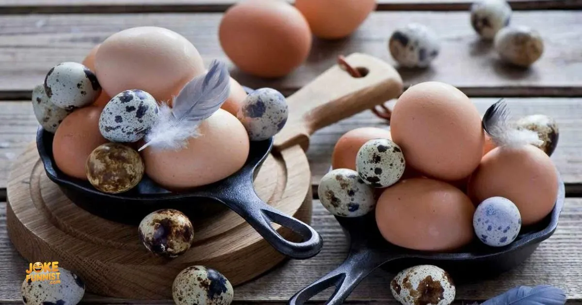 Egg Puns