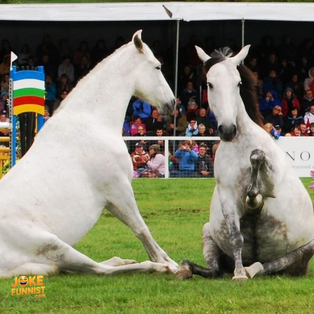 Horsing around