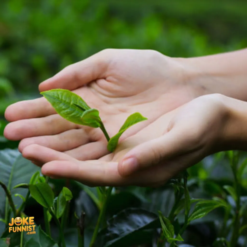 Leaf it to me to make you smile