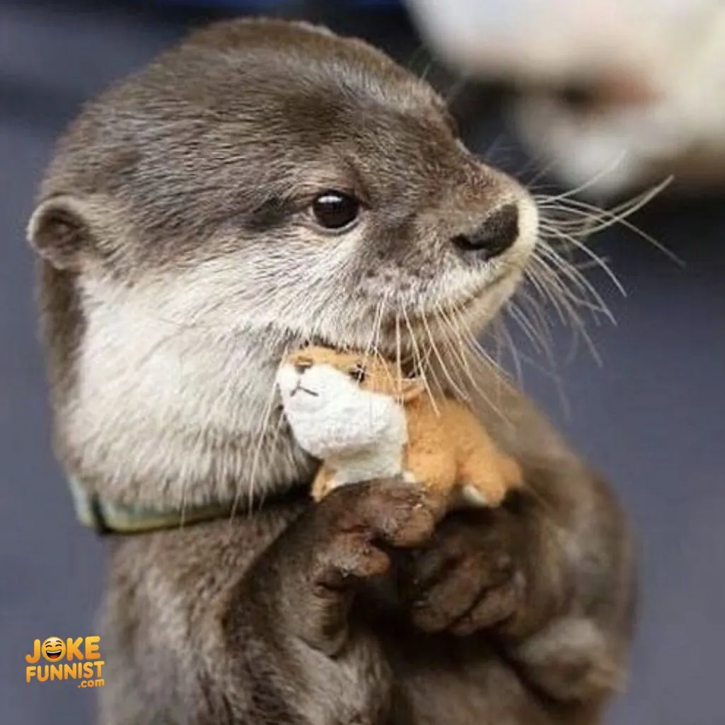 otter date