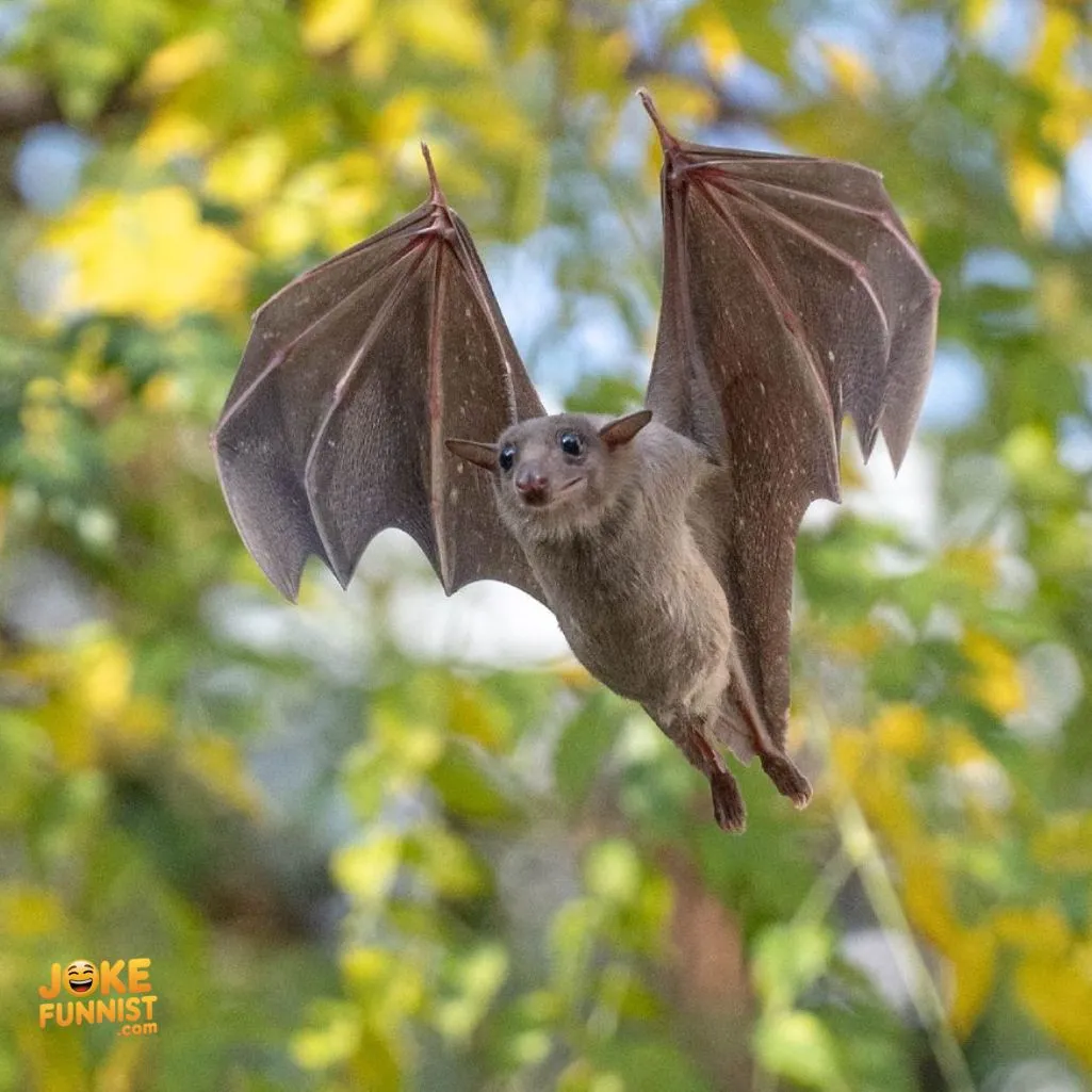  terrible at “text-bat-ding