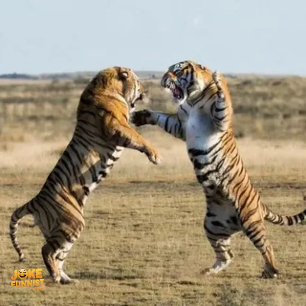 The Wild Tiger