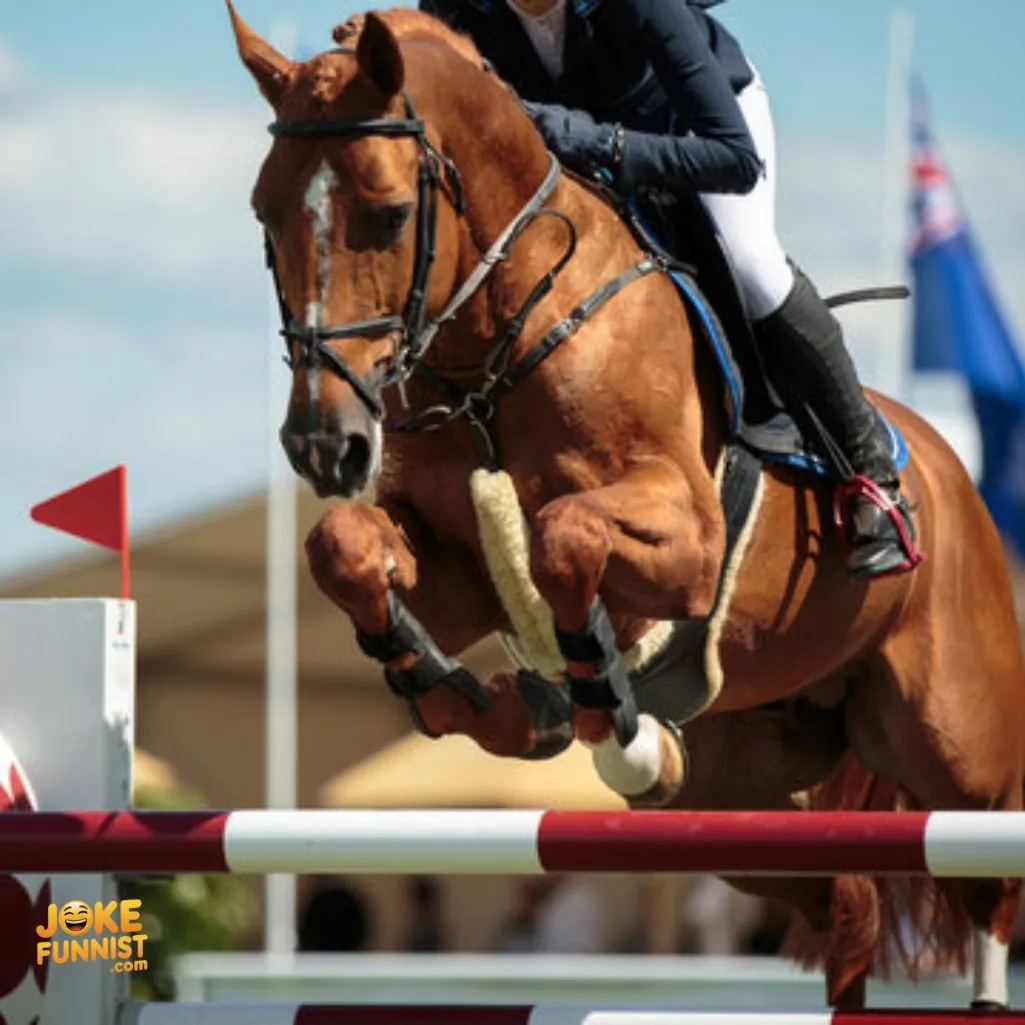 This horse is a total