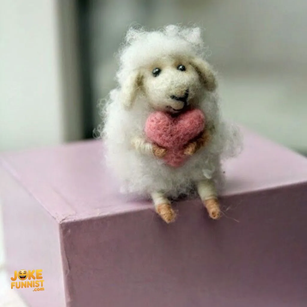 Wool you join