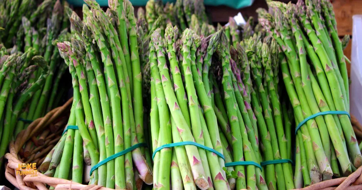 Asparagus Puns