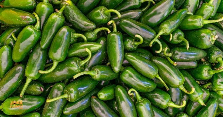 Jalapeno Puns And Jokes